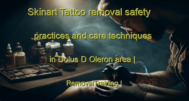 Skinart Tattoo removal safety practices and care techniques in Dolus D Oleron area | RemovalTraining | RemovalClasses | SkinartTraining-France